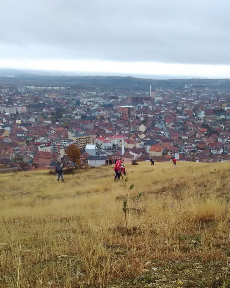 Na lokaciji Preševo sprovedena akcija „Jedno drvo za jednog ratnika“