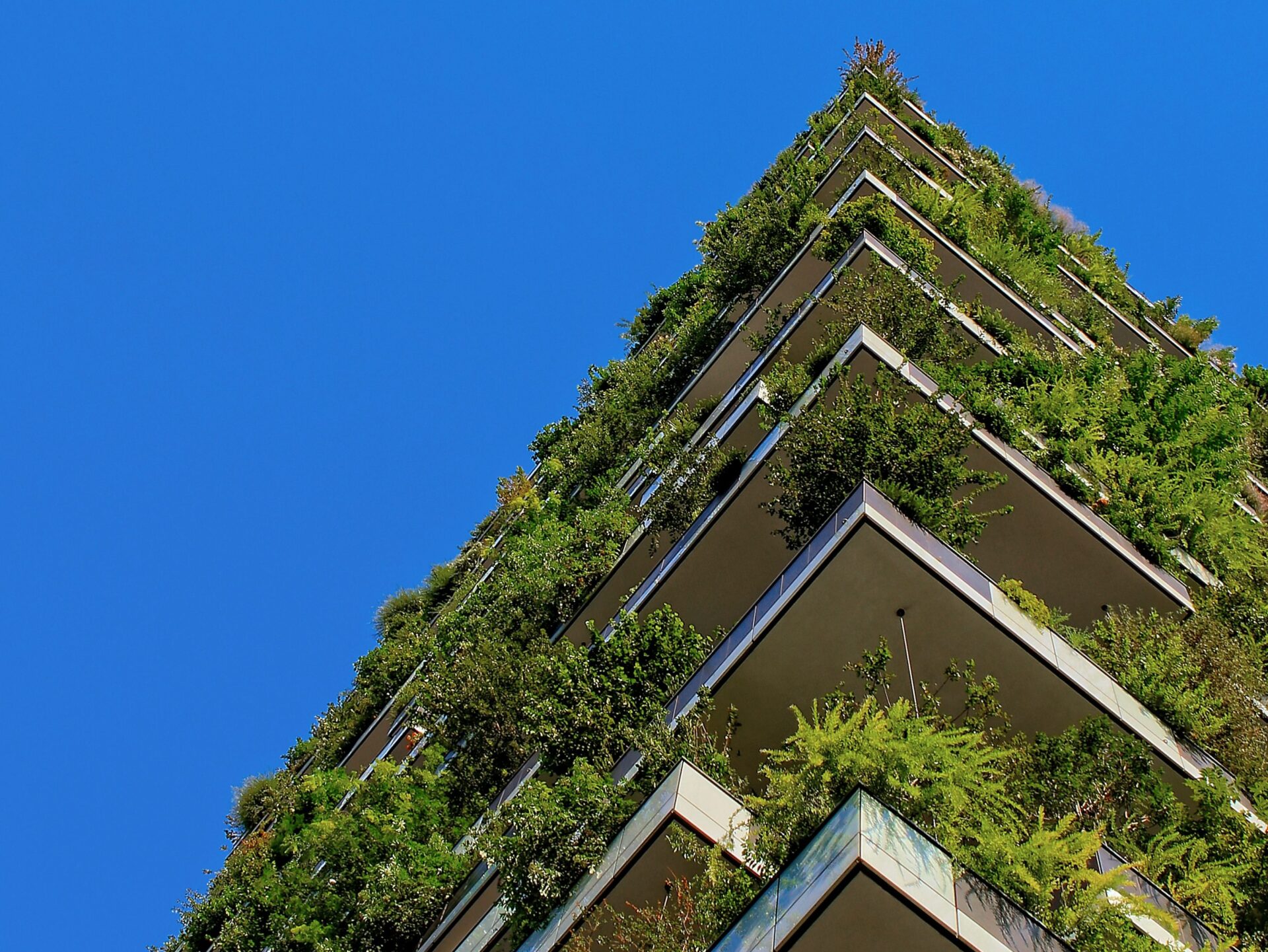 ricardo-gomez-angel-603624-unsplash