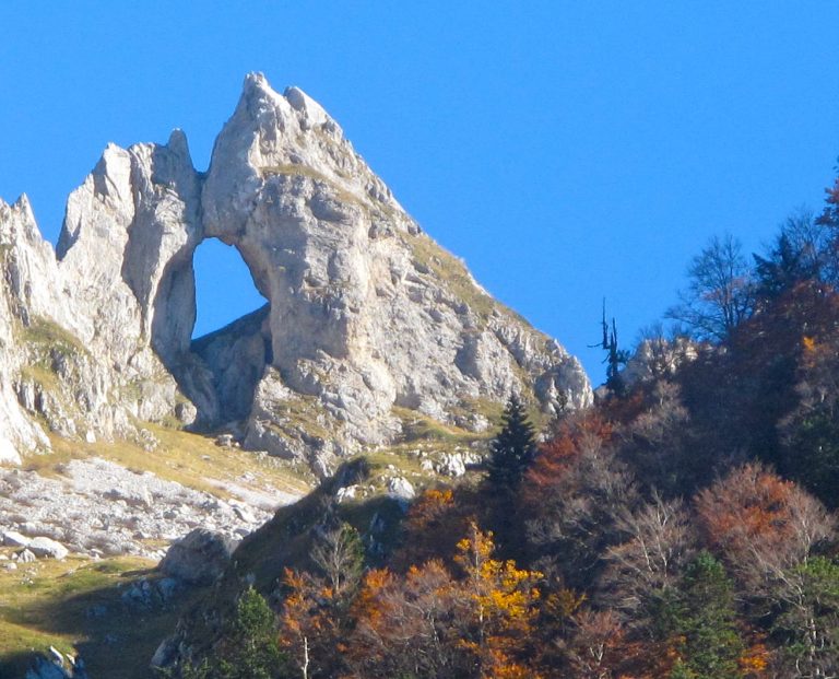 Prihrana sisara i zaštita prostora Nacionalnog parka Prokletije