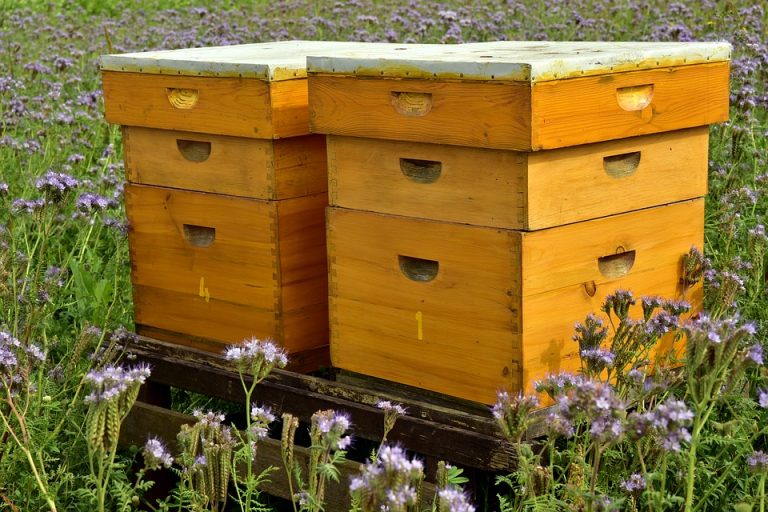 Pčelari više neće plaćati naknadu za stajalište košnica