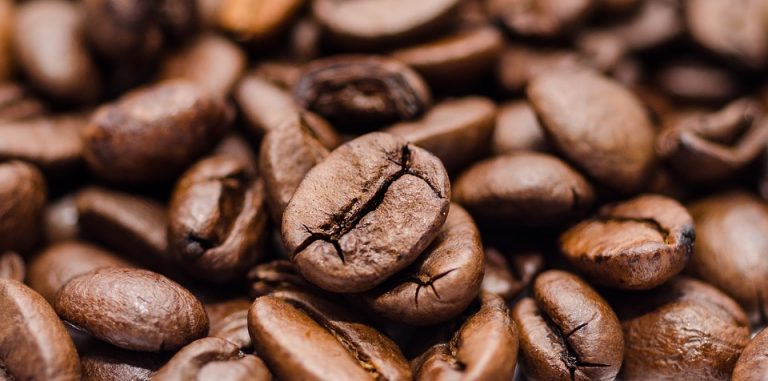 Upozorenje za ljubitelje kafe: 75 vrsta u izumiranju!