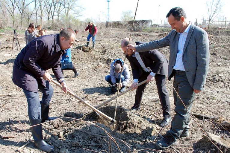 AP Vojvodina posvećena unapređivanju i planiranju zelenih površina