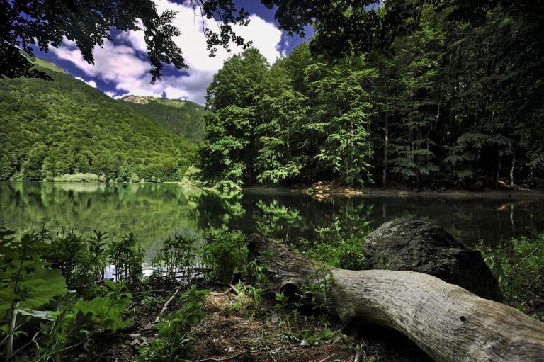 Nacionalni parkovi Crne Gore otvoreni na Dan planete zemlje