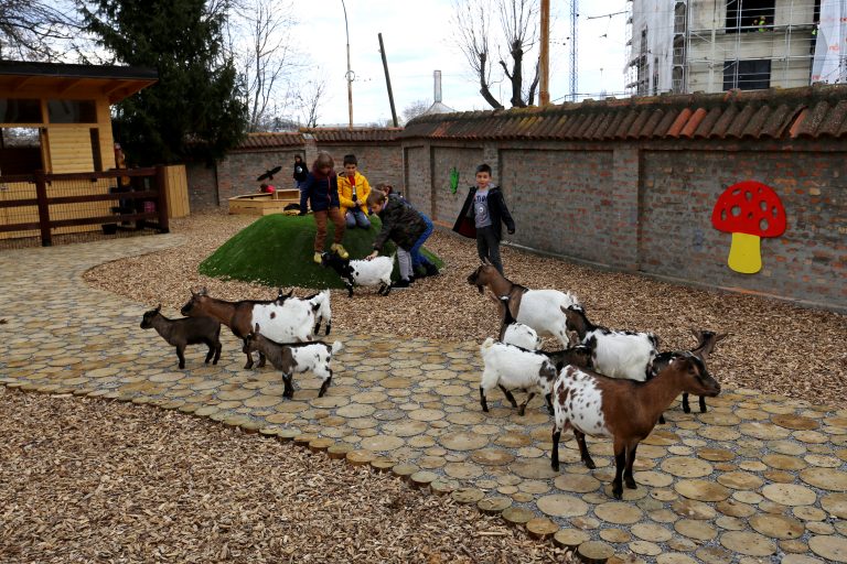Otvaranje Dečjeg zoo vrta u Beogradu