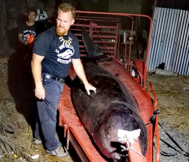 Džakovi za pirinač, plastične kese – Nije spisak za kupovinu, već sadržaj utrobe kita!