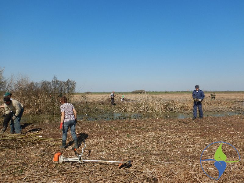 naslovna-2789-800-600-80-wm-right_bottom-100-watermarkpng