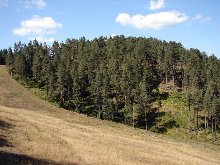 Zlatibor predstavljen na turističkom sajmu u Moskvi