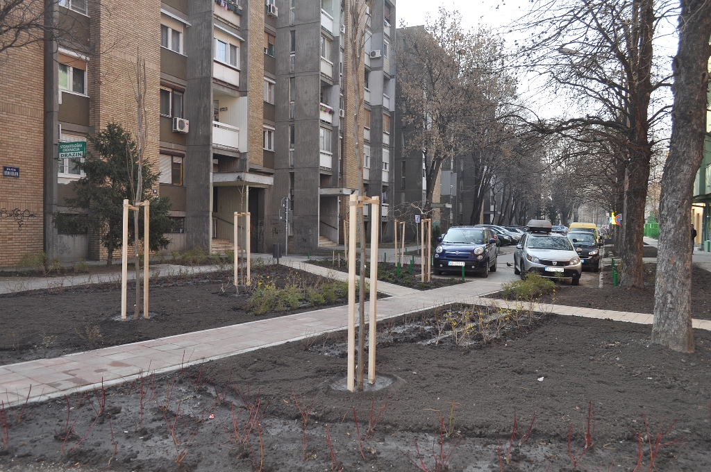 gradsko zelenilo, Novi Sad, projekti, parkovi