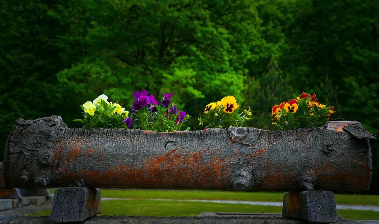 Zatvor u Sremskoj Mitrovici dobio priznanje na Sajmu hortikulture