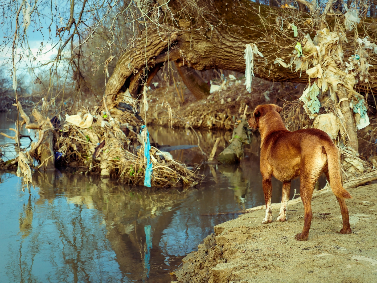 plastika_otpad_plastic_waste