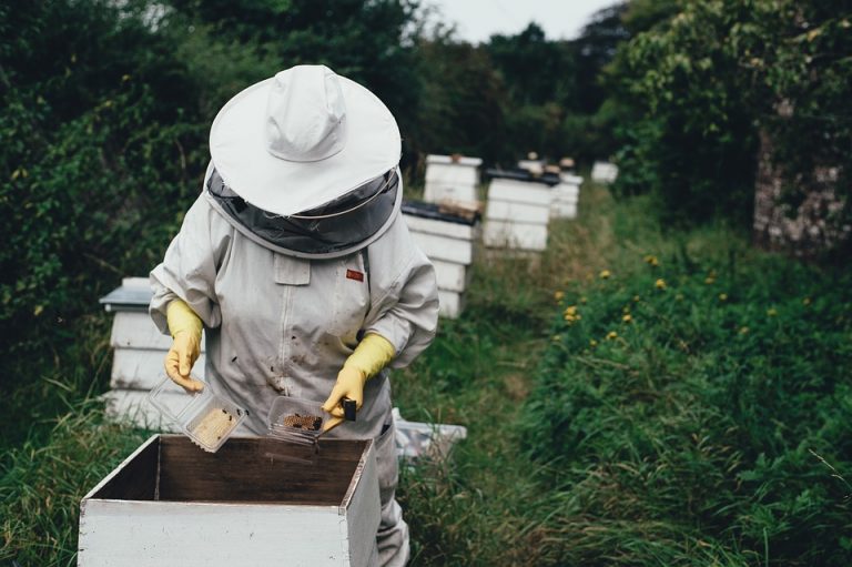 Održano predavanje o savremenom pčelarstvu u Užicu