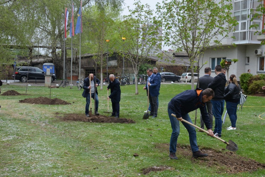 sadnja drveća, sadnice, Liman, Novi Sad,