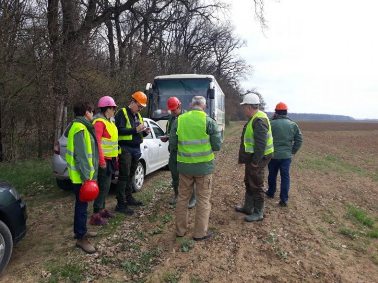 Proces sertifikacije šuma JP “Vojvodinašume”