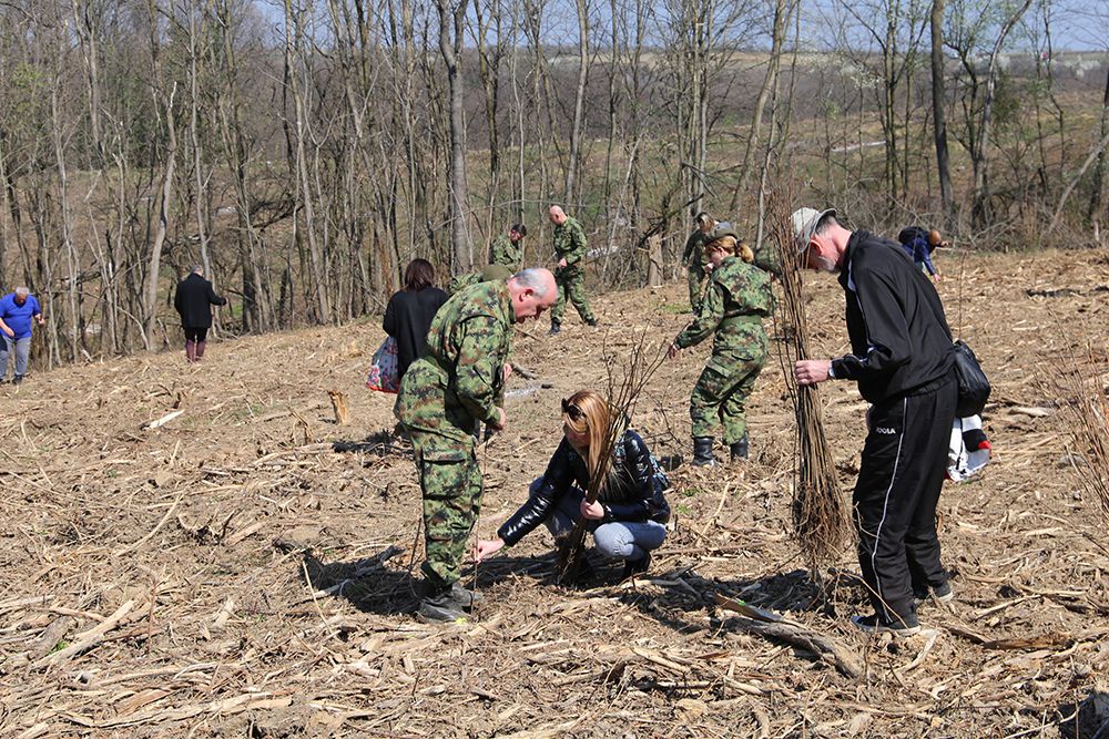 šume, sadnja, sadnice, Vojksa Srbije, NATO, bombardovanje
