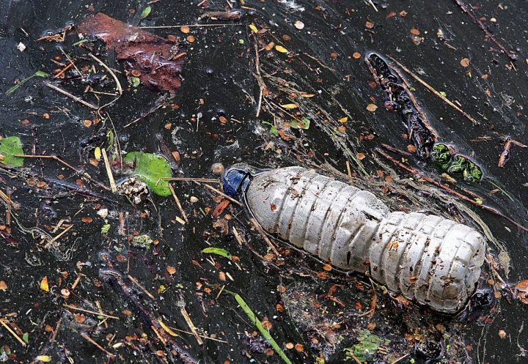 Stotine džakova smeća izneto iz reka na Staroj planini