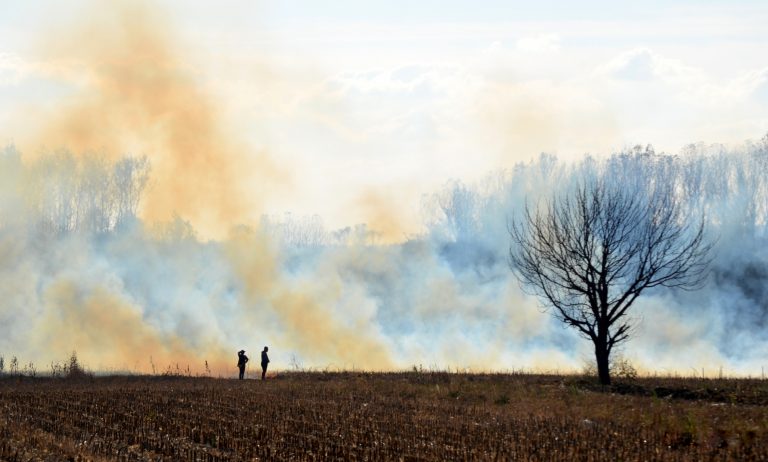 Povećan rizik od šumskih požara – Budite savesni prilikom boravka u prirodi!