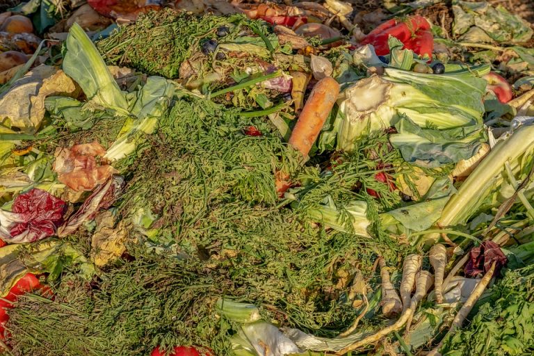 U Hrvatskoj oko 400.000 tona hrane godišnje završi u smeću
