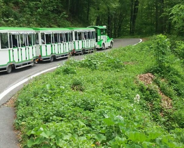 Promotivna vožnja turističkim vozom u NP Biogradska gora