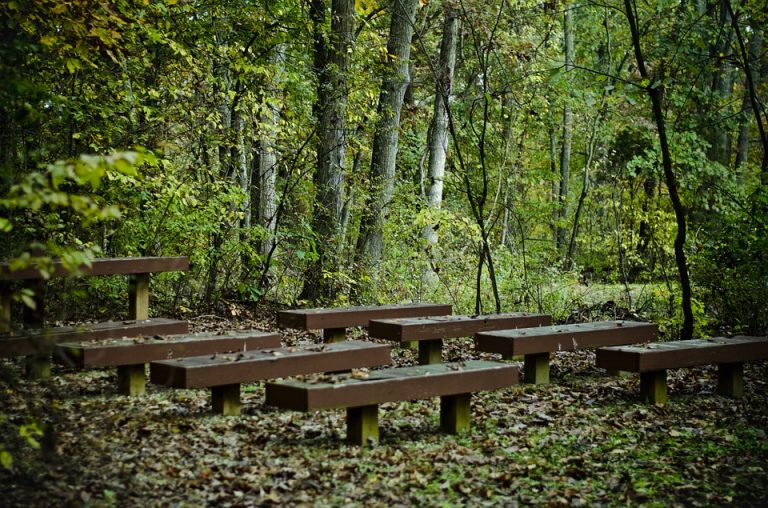 Suzbijanje krpelja na gradskim zelenim površinama Beograda