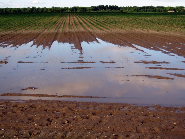 Neophodna uloga podzemnih voda usred klimatskih promena