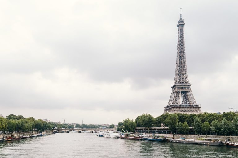 U Parizu više drveća u borbi protiv klimatskih promena