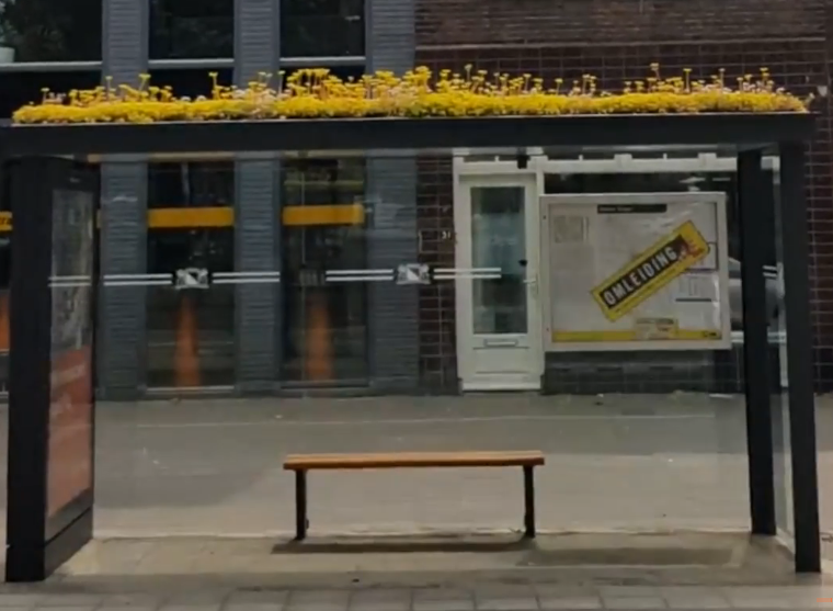 2-u-1: Autobusko stajalište i livada za pčele (VIDEO)