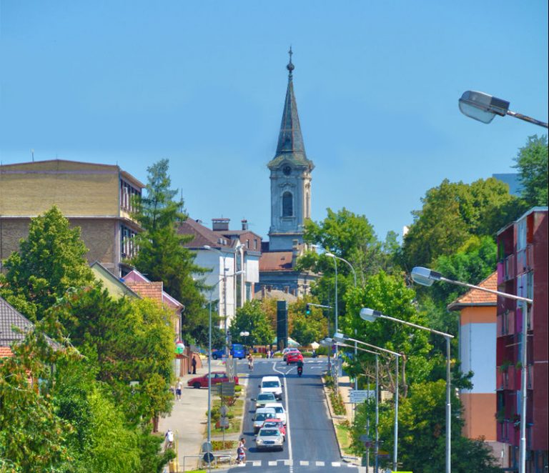 Pokrenuta „inđijativa“ da se ne poseče omorika u centru opštine