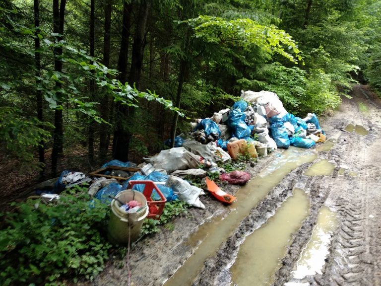 Očišćena divlja deponija u Jelovoj Gori kod Užica