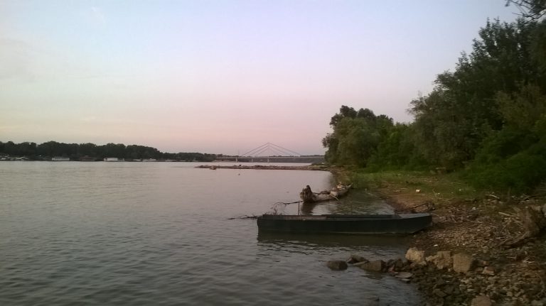 Hidromorfološki pritisci i reastauracija reka Dunavskog sliva