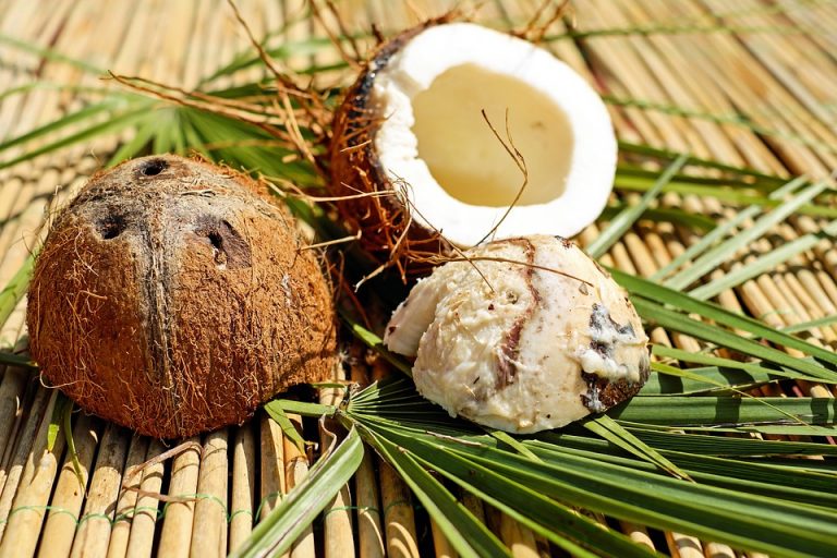 Bosna i Hercegovina uvozi ugalj od kokosove ljuske iz Indonezije