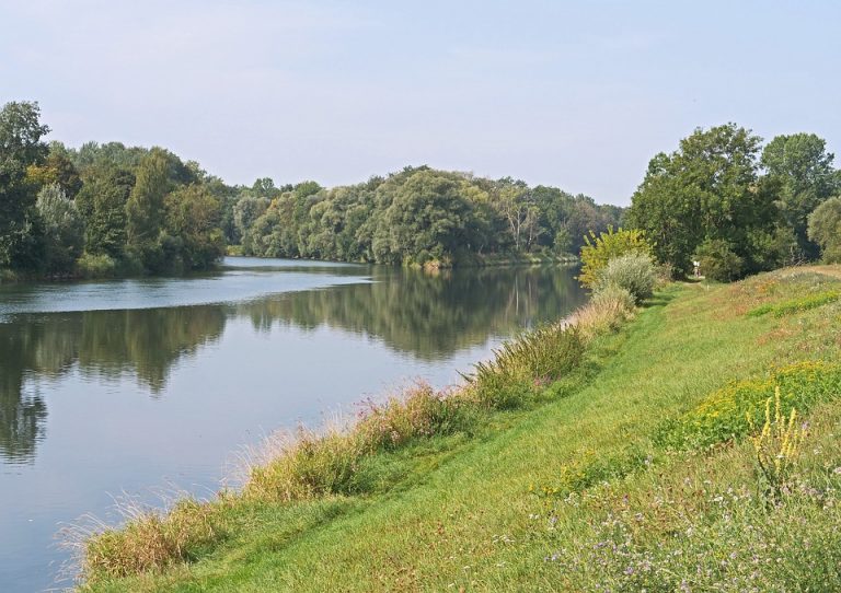 Početak čišćenja kanala na levoj obali Dunava pomeren za 20. avgust