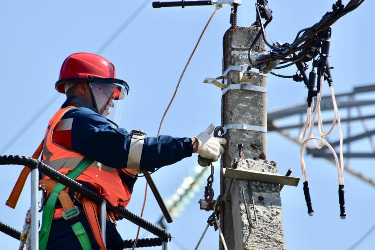 Ptice kao žrtve neadakvatne zaštite električne mreže kod Paraćina