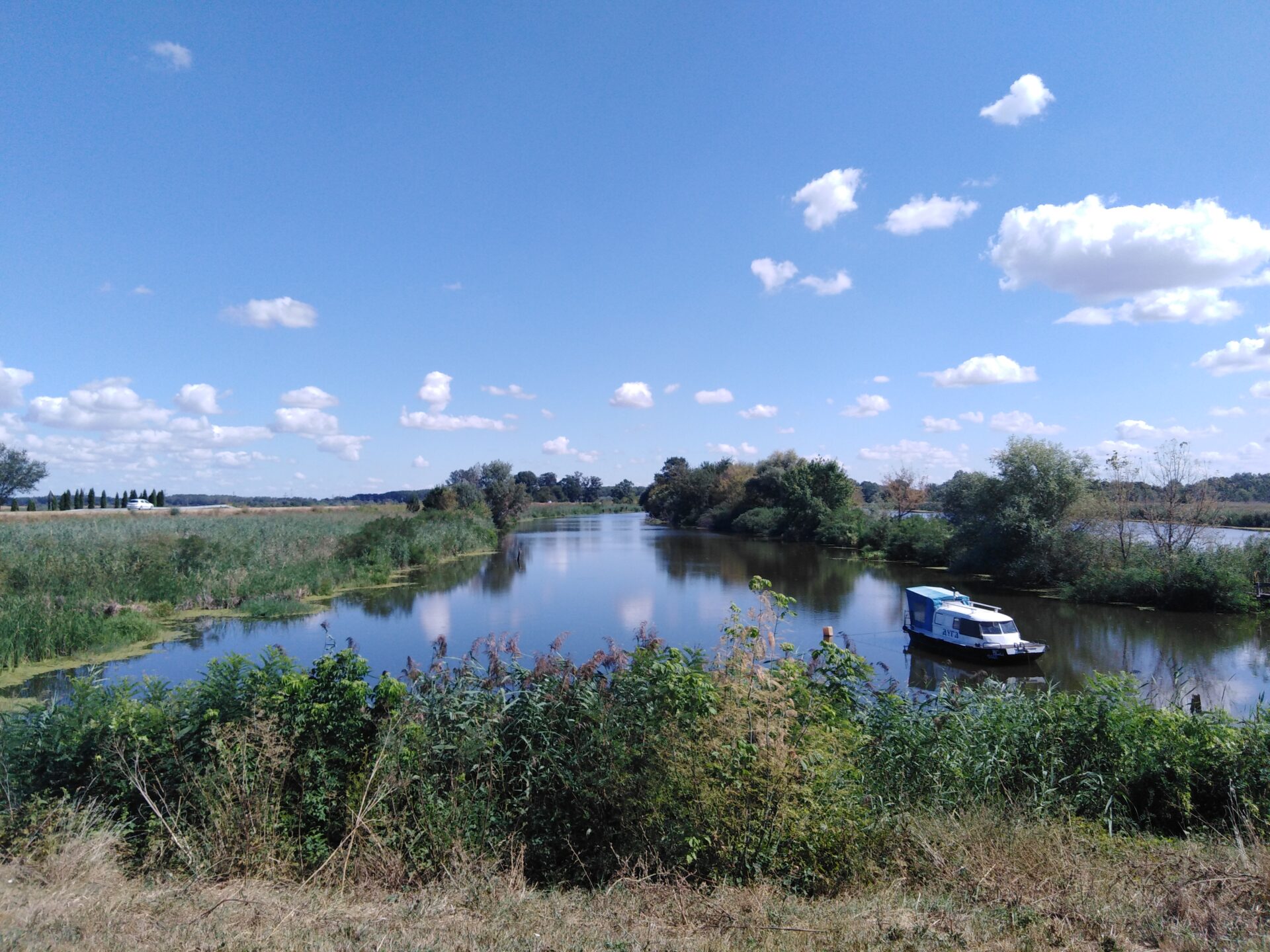 Carska bara_Zrenjanin_Ne pali strnjiku