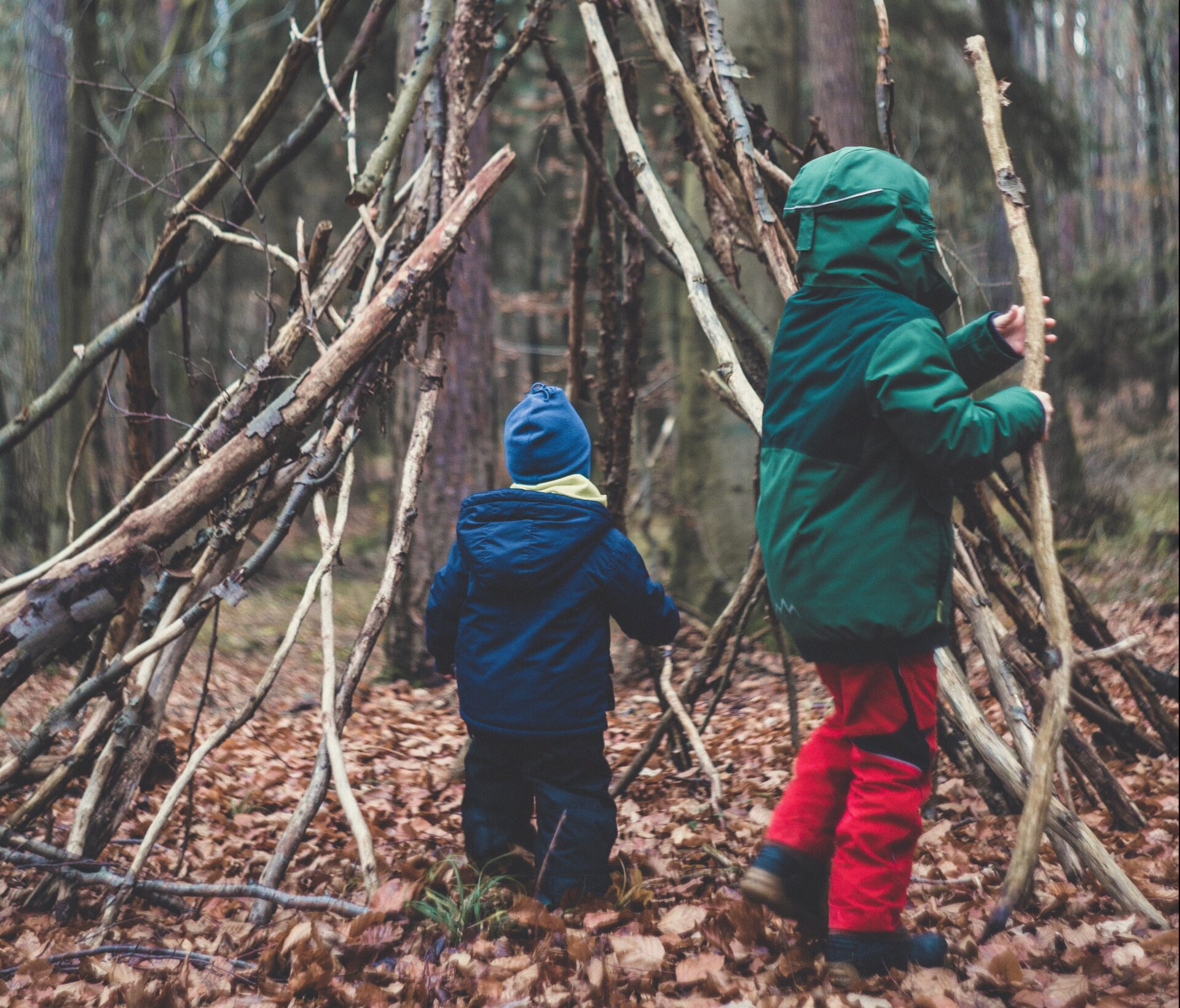 nature_forest_kids_playing_forest_kindergarten_šumski_vrtić