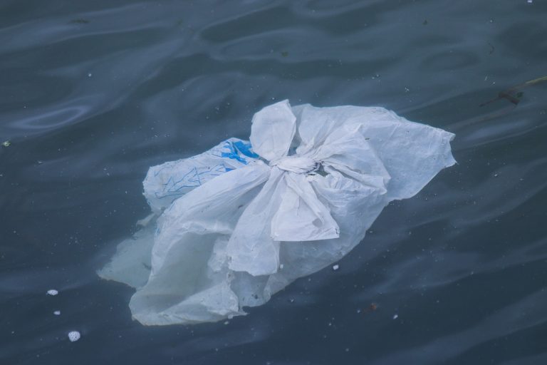 Da li će plastični otpad u okeanima postati deo prošlosti?