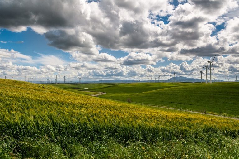 EPS traži partnera za Vetropark Kostolac