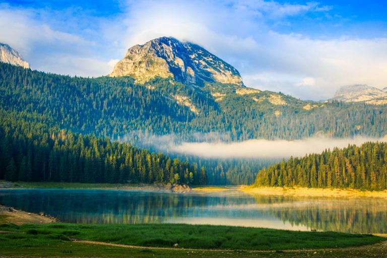 Nacionalni park “Durmitor” – posečena sabla stara pola veka