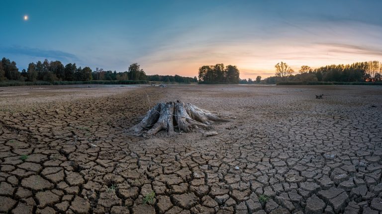 Jedna od najgorih suša u poslednjih 500 godina u Evropi, nivoi Dunava i Save mesecima na minimumu