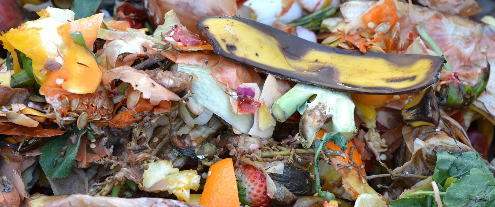 kompostiranje_biljni_otpad