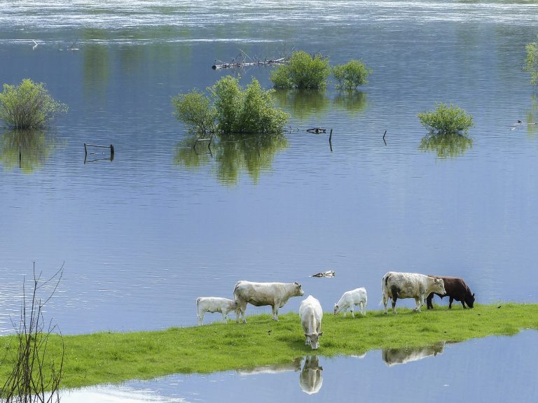 Započeti radovi na izgradnji nasipa u ugroženim područjima Hrvatske