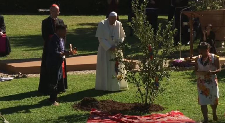 Papa i stanovnici Amazonije zasadili drvo u Vatikanu