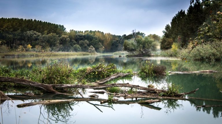 „Mura-Drava-Dunav“, prvi Unesko rezervat biosfere koji se prostire kroz pet zemalja