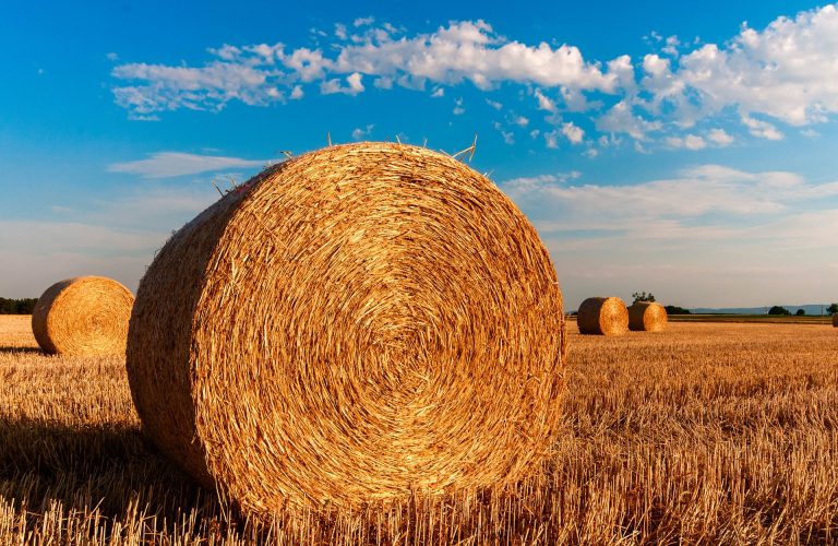 Za mlade poljoprivrednike u Vojvodini 200 miliona dinara