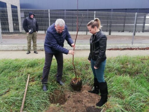 Titel sadi po jedno drvo za svakog stanovnika opštine