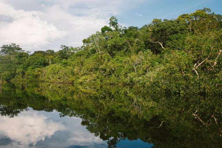 Visok nivo žive u dubinama Amazona opasno za stanovništvo