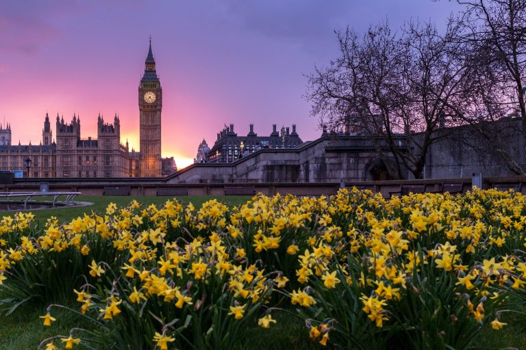 Kako izgleda zgrada u Londonu koja će apsorbovati 8 tona ugljen-dioksida godišnje?