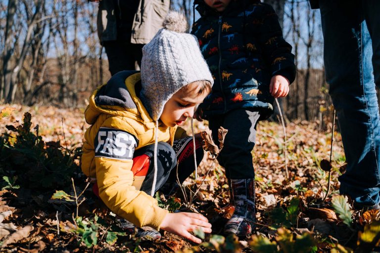 Zelena Я:Evolucija pokrenuta na Fruškoj gori – počelo masovno pošumljavanje