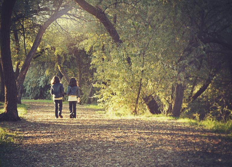 Uređenje Park-šume Beglaci u Crnoj Gori