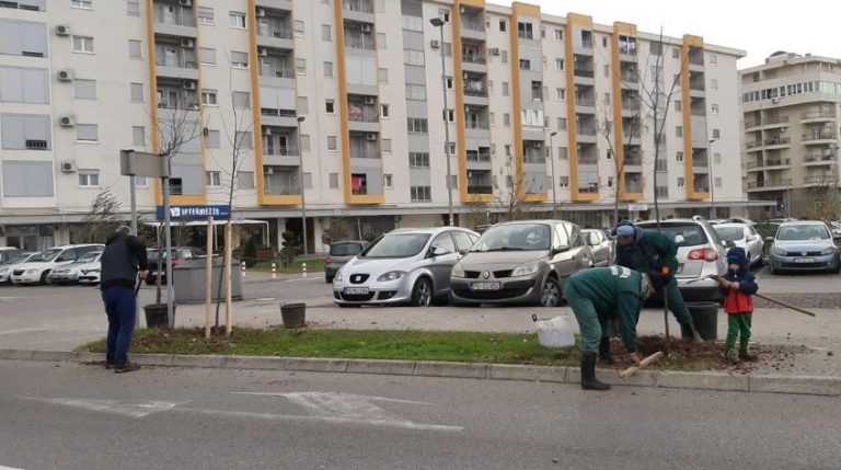 Zasađen novi drvored u Podgorici