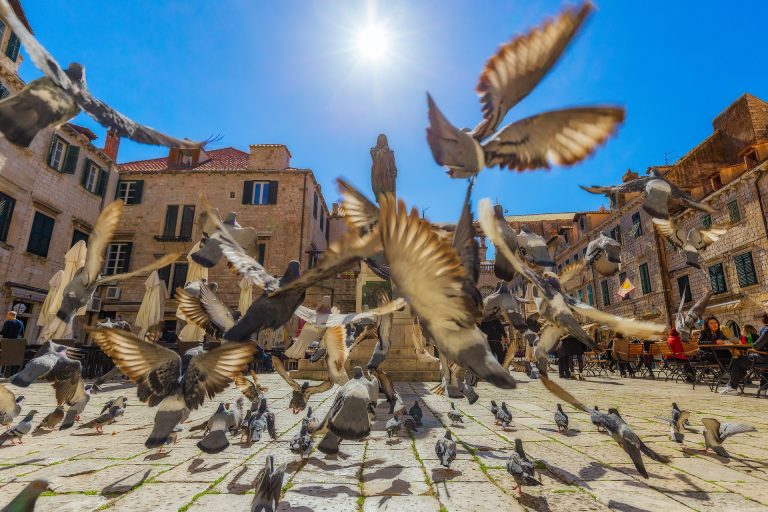 Dubrovnik nije više na listi nepoželjnih lokacija